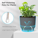 T4U 6 Inch Self Watering Pots for Indoor Plants, 6 Pack Planters for Indoor Plants, Durable Plastic Charcoal Gray Pots for Indoor Plants, African Violets, Flower by GreenHaven Gardens