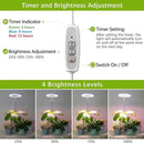 LORDEM Grow Light, LED Plant Light for Indoor Plants Growing, Full Spectrum Desk Growth Lamp with Automatic Timer for 4H/8H/12H, 4 Dimmable Levels, Height Adjustable 9.8"-30.6" by GreenHaven Gardens