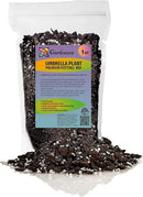 Umbrella Plant Premium Potting Mix - Nourish Your Plants with Nature's Finest Ingredients - 1 Quart by GreenHaven Gardens