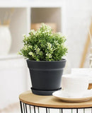 homenote Pots for Plants, 15 Pack 6 Inch Plastic Planters with Multiple Drainage Holes and Tray,Plant Pots for All Home Garden Flowers Succulents (Black) by CozyNest Decor