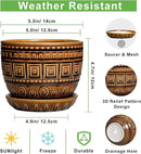 G EPGardening Succulent Pot 5.5 Inch - Ceramic Plant Pot for Indoor Plants Outdoor, Round Boho Planter with Drainage Hole and Saucer, Gifts for Plant Lovers, Office Home Garden Decor, Brown by GreenHaven Gardens