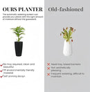 2Pack 22" High Modern Plant Pots Planter-Self-Watering Indoor/Outdoor Planting with Drain Holes, Water Level Monitor, Inner Bucket for Front Porch Patio, Black Rattan Conical by CozyNest Decor