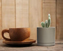 D'vine Dev Ceramic Planter Pot with Drainage Hole and Saucer, Indoor Cylinder Round Flower Pot, 4.6 Inch, Grey, 94-O-B-3 by GreenHaven Gardens