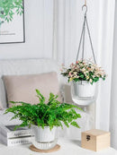 6.5 Inch 2 Pcs Self Watering Hanging Planter Indoor Plant Pots Drainage Holes, Outdoor Hanging Planters Flower Pot Basket, Visible Water Level, Plant Hanger Home Decor, Gardening by GreenHaven Gardens