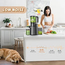 Cold Press Juicer, Juicer Machines with 5.4" Wide Feed Chute for Juice Extractor, Professional Slow Masticating Juicer for Whole Vegetables & Fruits with High Juice Yield, Easy to Clean (Black) by CozyNest Decor