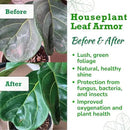 Leaf Armor Spray for Houseplants – Protects Against Fungal Leaf Spots, Bacteria, Pathogens & Yellowing | Gentle & Natural Phosphite Formula | Ready-to-Use | Made in USA – 8 oz by GreenHaven Gardens