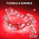 JMEXSUSS 2 Pack Solar Fairy Lights, 33FT 100 LED Red Outdoor Waterproof String Lights for Outside Tree Party Patio Christmas Valentine Day Decorations by GreenHaven Gardens