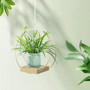 Hanging Planters for Indoor Plants, Plant Hanger with Sturdy Wood Base,Modern Boho Macrame Plant Hanger,Wall Ceiling Window Stands(Plants/Pots Not Included) by GreenHaven Gardens