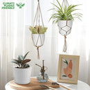 7 pcs Plant Pots with Drainage Holes and Saucers, Indoor Planters, Set of 7 (7.5, 7, 6.5, 6, 5.5, 4.5, 3.5 Inches), White by GreenHaven Gardens