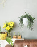 Hanging Planter Indoor Modern Boho Plant Pot Metal Wall and Ceiling Plant Holder Mid Century Minimalist Flower Pot for Hanging Plants, White by GreenHaven Gardens