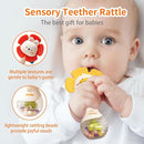 weirtoya 2 PCS Baby Rattles Teething Toys 3-6 Month, Baby Toys for 0-6 Months Infant Toy Sensory Toys with Beads Grasping Shaker, Newborn Must Haves Montessori Toys Babies Gifts by TinyTreasures Baby Boutique