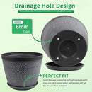 Quarut Large 12 Inch Plant Pot for Plants Outdoor Indoor, 4 Pack Plastic Flower Pots with Drainage Hole & Saucer, Modern Decorative Garden Pot with Saucer, Plant Container for House（Gray） by GreenHaven Gardens