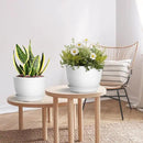 Plant Pots 12/10/9 Inch Pots, Set of 3 Plastic Planters with Drainage Holes and Saucers,Plastic Flower Pots,Nursery Planting Pot for Indoor Out Door Plants（White） by GreenHaven Gardens