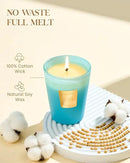M&SENSE Ocean Escape Scented Natural Soy Wax Candle, 14.1oz 60 Hours Long Lasting Slow Burning Candles for Home Decor, Aromatherapy Candle for Stress Relief by CozyNest Decor