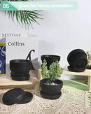 vensovo 5.7 Inch Black Terracotta Shallow Succulent Pots - 6 Pack Terra Cotta Clay Pot with Saucer, Cacuts Indoor and Outdoor Planters with Drainage Hole by GreenHaven Gardens