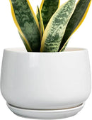 G EPGardening Ceramic Pots for Plants - 7 Inch Planter for Indoor Plants, Round Flower Pots with Drainage and Saucer, Modern Outdoor Planter, Garden Decor, Home Gifts, White by GreenHaven Gardens