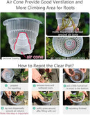 5 inch Orchid Pots with Holes for Repotting with Excellent Airflow, Set of 3, Double Layer Plastic Imitate Ceramic Orchid Planter, Clear Orchid Pot Match Decorative Orchid Container by GreenHaven Gardens