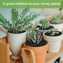 5 lbs Pebbles for Indoor Plants, Succulent, Cactus, 1/5 Inch Small Lava Rock for Plants Drainage, Natural Horticultural Volcanic Rock, Top-Dressing by CozyNest Decor