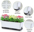 Window Box Planter 8 Pcs, 17 Inches Rectangle Flower Pots with Drainage Holes and Trays, Vegetable Planters for Windowsill Patio Garden Balcony Home Porch Yard Indoor Outdoor (White) by GreenHaven Gardens