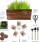 Cat Grass Kit for Indoor Cats - 5X Seed Packets with Handmade Wood Planter | Grow Organic Non-GMO Wheat Grass in 4-7 Days, Aids Digestion & Hairball Control, Ideal Gift for Cat Lovers by GreenHaven Gardens