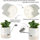 Nihow Self Watering Plant Pot: 8 Inch Ceramic Planter with Drainage Hole & Water Storage Plus for Indoor & Outdoor Plants - Cylinder Round Flower Pot for Succulent/Herbs/Violets - Cream White & Brown by GreenHaven Gardens