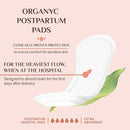Organyc Hospital Postpartum Pads, 100% Certified Organic Cotton Inside and Out for Women, for First Days After Delivery, 12 Counts by TinyTreasures Baby Boutique