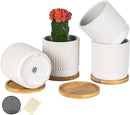 AOMRYOM 4.25 Inch Small Ceramic Plant Pots with Drainage Holes and Trays, Garden Flower Pots for Indoor Outdoor Plants, Succulents, Cactus and Herbs, White Stripe, Set of 4 (Plant Not Included) by GreenHaven Gardens