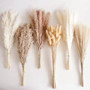 110 PCS Dried Pampas Grass Bouquet, Boho Table Decor, Bunny Tails Dried Flowers, Brown Pompas, White Pampas Grass for Wedding, Home, Rustic Party, Baby Shower Decorations by CozyNest Decor