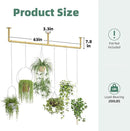Plant Hanger Indoor Hanging Planters for Indoor Plants Hanging Plant Holder Window Plant Rod Gold Metal Shelves 63 Inch (Pot/Chains not Included by CozyNest Decor