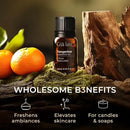 Gya Labs Tangerine Essential Oil for Diffuser - 0.34 Fl Oz - 100% Pure Natural Tangerine Oil for Skin, Massage, DIY Fragrances & Candle Making Scent by CozyNest Decor