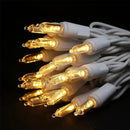 MULTI-SPARKING White Christmas LED Lights - 35 Count Warm White Christmas String Lights for Small Tree, Crafts, Holiday, Indoor/Outdoor Decorations, 11 Feet White Wire, UL Certified, Connectable by GreenHaven Gardens