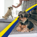 Muddy Mat® 4-Piece Grey Medium 30"X19" AS-SEEN-ON-TV Highly Absorbent Microfiber Door Mat, Bath Mat and Pet Rug, Non Slip Thick Washable, Soft Chenille for Kitchen Bathroom Bedroom Indoor and Outdoor by CozyNest Decor