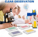 48Pcs Prepared Microscope Slides Specimen Animals Plants Flowers Sample Biological Specimen, Stereo Microscope Slide for Kids Children Students Enlighten Education by TinyTreasures Baby Boutique