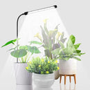 Juhefa Grow Light for Indoor Plants Growing, 6000K Full Spectrum Gooseneck Plant Lamp for Seedings Succulents Small Plants, Auto On/Off Timing & 5 Dimming, 1-PACK by GreenHaven Gardens