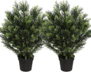 momoplant 31 Inch Tall Artificial Cedar Topiary Tree Set of 2 Faux Cypress Evergreen Potted Plants for Outdoor & Indoor Decor by GreenHaven Gardens