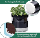 Phoenix Vine 6 Inch Self Watering Planter Pot, Black Terracotta Clay Pot with Glass Reservoir for Indoor Plants, Herbs, Flowers, Set of 2, 52-C-F-2 by GreenHaven Gardens