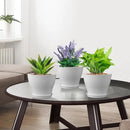 6 inch Plastic Nursery Pots, Seedling Pots, 16 Pack Plant Pots for Small Indoor Outdoor Plants, Flower Pots with Drainage Holes and Saucers, Decorative Planters for House Plants, White by GreenHaven Gardens