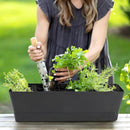 GREANER Window Boxes Planters, 3PCS 16x3.8 Inch Black Rectangle Planters Box with Drainage Holes and Trays, Herb Succulents Flowers Plastic Pot for Windowsill, Garden, Balcony, Indoor, Outdoor Decor by GreenHaven Gardens