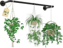 Plant Hanger Indoor Hanging Planters for Indoor Plants Hanging Plant Holder Black Metal Rod(Pot/Chain/Plant not Included by CozyNest Decor