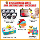 Baby Gifts Set,Infant Toys Set with Tummy Time Mirror,Plush Teethers,High Contrast Baby Books,Rattle,Tissue Box Toy,Sensory Ball for Boys Girls,Perfect Sensory Toys Gifts Basket for Shower Birthday by TinyTreasures Baby Boutique