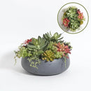 Faux Succulent Arrangement, Premium Artificial Indoor Plant Enhances Interior Design, Display on Any Surface in Your Home Adding an Inviting Touch of Nature, Grey Planter Pot Included by CozyNest Decor