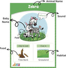 Animals and Their Babies Flashcards | Animal Sound | Animal Habitat Flashcards for Toddlers and Kids - 40 Animals - Non Tearable and Water Resistant | Reusable by TinyTreasures Baby Boutique