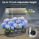 inbloom 12 Pods Hydroponics Growing System Kit, Herb Garden Planter Indoor Kit, Indoor Gardening Hydroponics Growing System with 4.2L Water Pump, Height Adjustable, Gifts for Woman, Transparent Black by GreenHaven Gardens