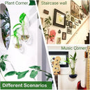 Ivolador Wall Hanging Planter Propagation Station Glass Flower Vase for Hydroponics Plants, Home Office Living Room Decor Gift, Set of 4 by GreenHaven Gardens
