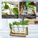 Kingbuy Desktop Glass Planter Iron and Wooden Stand Plant Terrariums for Indoor Office Desk Decor Accessories, 3 Bulb Vases, Brown