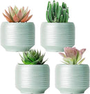 Mini Succulent Planter Set – 3.7 Inch Ceramic Pots with Drainage for Indoor Plants, Small Decorative Flower Pots for Cactus and House Plants, Set of 4 by CozyNest Decor