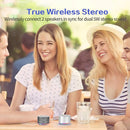 LENRUE Portable Wireless Bluetooth Speaker with Built-in-Mic,Handsfree Call,AUX Line,HD Sound and Bass for iPhone Ipad Android Smartphone and More (Silver) by TinyTreasures Baby Boutique