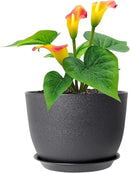 12 inch Large Plant Pots, Plastic Planters with Drainage Holes and Saucers, Flower Pots for Indoor Outdoor Plants, Modern Decorative Pots for Garden House Plants, Black by GreenHaven Gardens