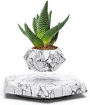 BandD Plant Pot for Succulents, air Bonsai & air Plants. Planter for Home, Office & Desk Decor. Magnetic Floating Levitating Display. (Marble) by GreenHaven Gardens