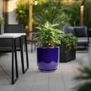 Ceramic Planter - 12 Inch Pots for Plants Ceramic Plant Pot Indoor with Drainage Hole and Saucer Large Planter Flower Pot Outdoor for Home Garden Decor Blue by GreenHaven Gardens